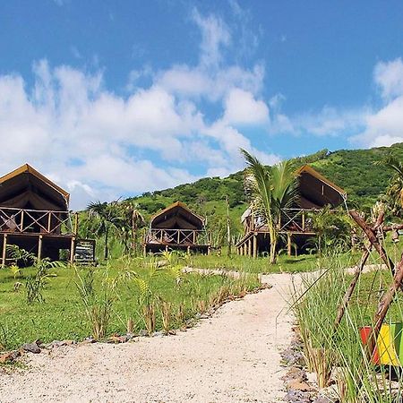 Otentic, Eco Tent Experience Grand River South East Dış mekan fotoğraf