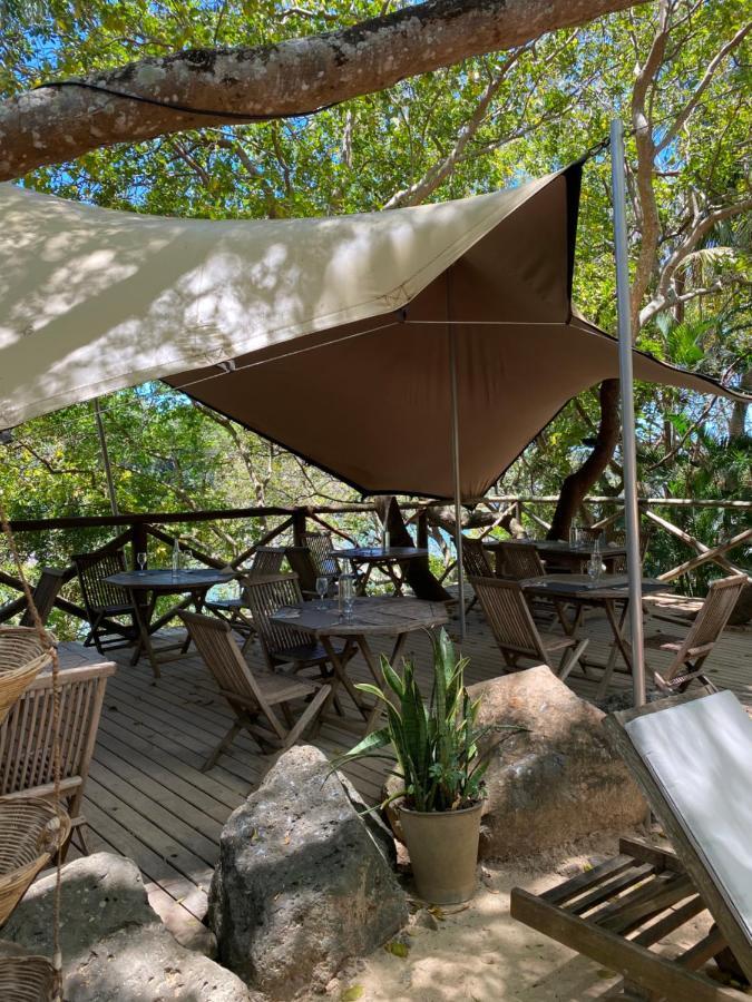 Otentic, Eco Tent Experience Grand River South East Dış mekan fotoğraf